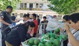 jk吃瓜群众,揭秘娱乐圈幕后真相