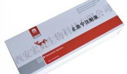 消炎药可以吃瓜吗,安全食用指南