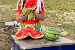 地里吃哈密瓜图片,哈密瓜的甜蜜诱惑