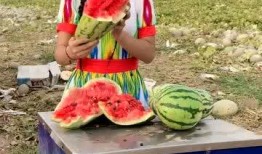 地里吃哈密瓜图片,哈密瓜的甜蜜诱惑