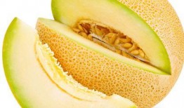 痛风吃哈密瓜测评,哈密瓜测评，美味与健康的完美结合