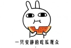 吃瓜栏目,吃瓜群众带你领略明星幕后故事