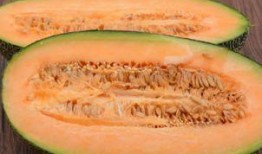 地里吃哈密瓜图片,哈密瓜的甜蜜诱惑