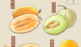 做个吃瓜的画图人,一场吃瓜者的视觉盛宴