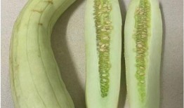 腌白瓜怎么吃,解锁家常美味新境界