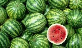 王x茹吃瓜,揭秘娱乐圈幕后故事