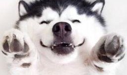 群众微笑吃瓜视频,共享快乐时光