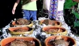 甲鱼喜欢吃瓜,瓜果佳肴的诱惑之旅