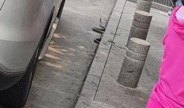 吃瓜观众来上车吃瓜,上车吃瓜，一网打尽娱乐圈风云