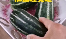 吃瓜和睡觉,揭秘日常生活中的小确幸