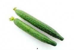 吃瓜护肝,健康生活新风尚