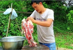 大瓜吃牛骨头,揭秘美食背后的故事与传奇