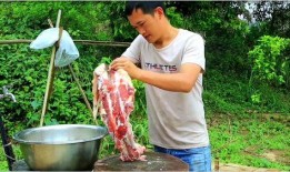 大瓜吃牛骨头,揭秘美食背后的故事与传奇