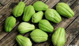 洋瓜和鸡蛋能一起吃吗,揭秘能否同食的饮食之谜