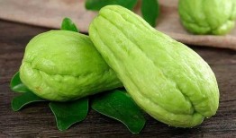 娘吃霉瓜干,探寻民间美食的传承与魅力