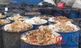 养殖场吃瓜视频