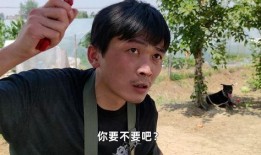 吃瓜都是真的吗,网络传闻的真伪辨析