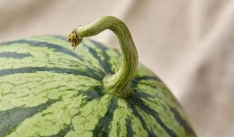 上海最近吃瓜事件,揭秘近期热点事件背后的真相