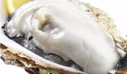 茭瓜跟海蛎子能一起吃吗,健康搭配的饮食禁忌解析