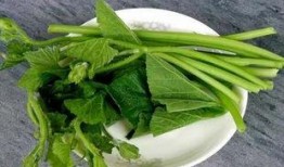 柳州吃瓜投稿,揭秘当地特色美食背后的故事