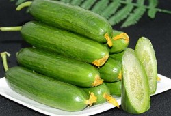 刺小瓜怎么吃,探索美味新境界