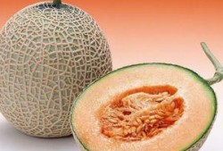 痛风吃哈密瓜测评,哈密瓜测评，美味与健康的完美结合