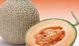 痛风吃哈密瓜测评,哈密瓜测评，美味与健康的完美结合