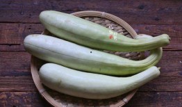 腌白瓜怎么吃,解锁家常美味新境界