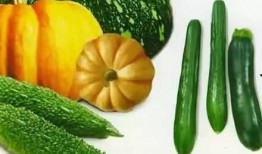 吃瓜生存,揭秘娱乐圈背后的真相与生存法则