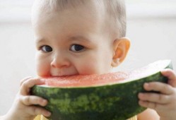 宝宝可以吃田瓜吗,田瓜的营养与适宜食用指南