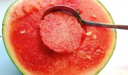 汾阳吃瓜原视频,一场视觉与味蕾的双重盛宴