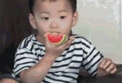 男孩吃瓜表情包,男孩吃瓜表情包的欢乐瞬间